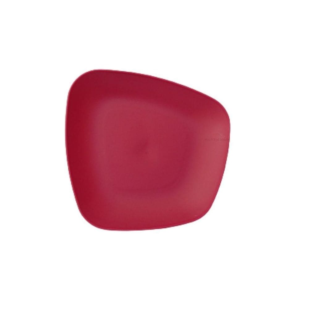 Prato Plastico Duro Resistente Para Sobremesa Space