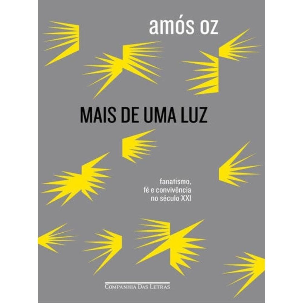 Mais De Uma Luz - Fanatismo, Fé E Convivência No Século Xxi