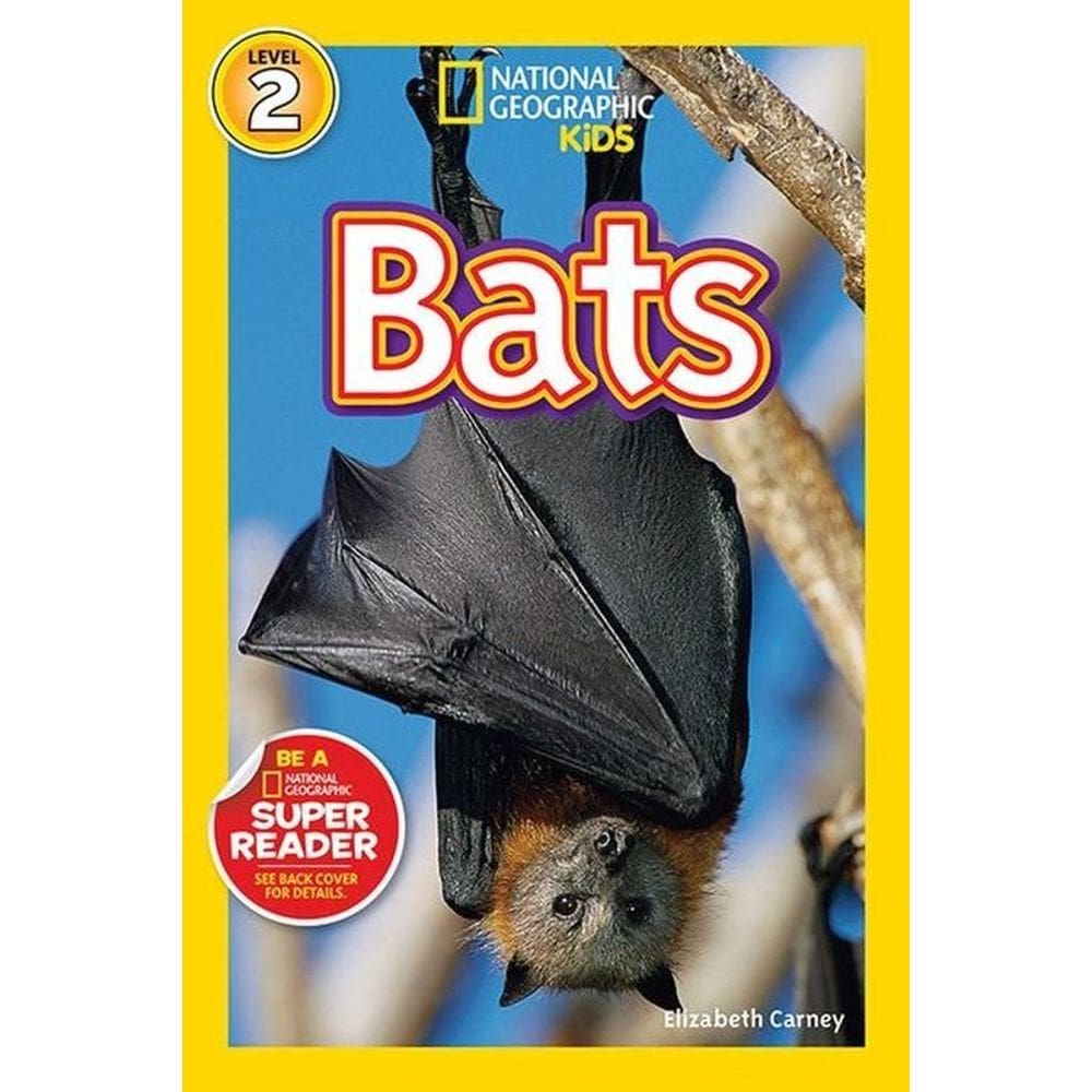 Bats - Level 2
