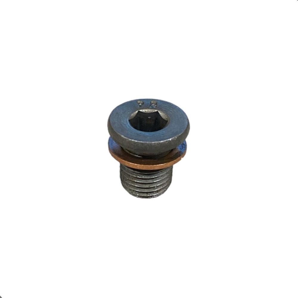 Bujao Carter Motor Gol G5 Allen