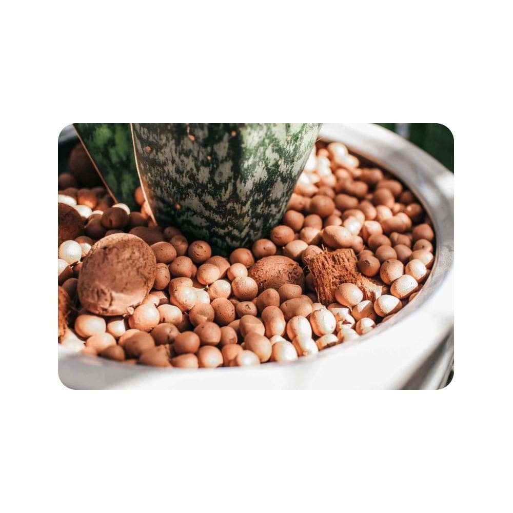 Argila Expandida Para Jardim Vasos Drenagem Decoração 1,5Kg