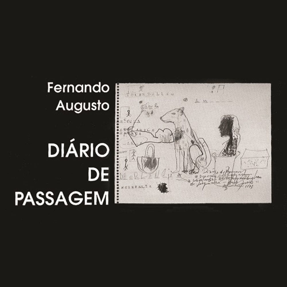 Livro Diário De Passagem