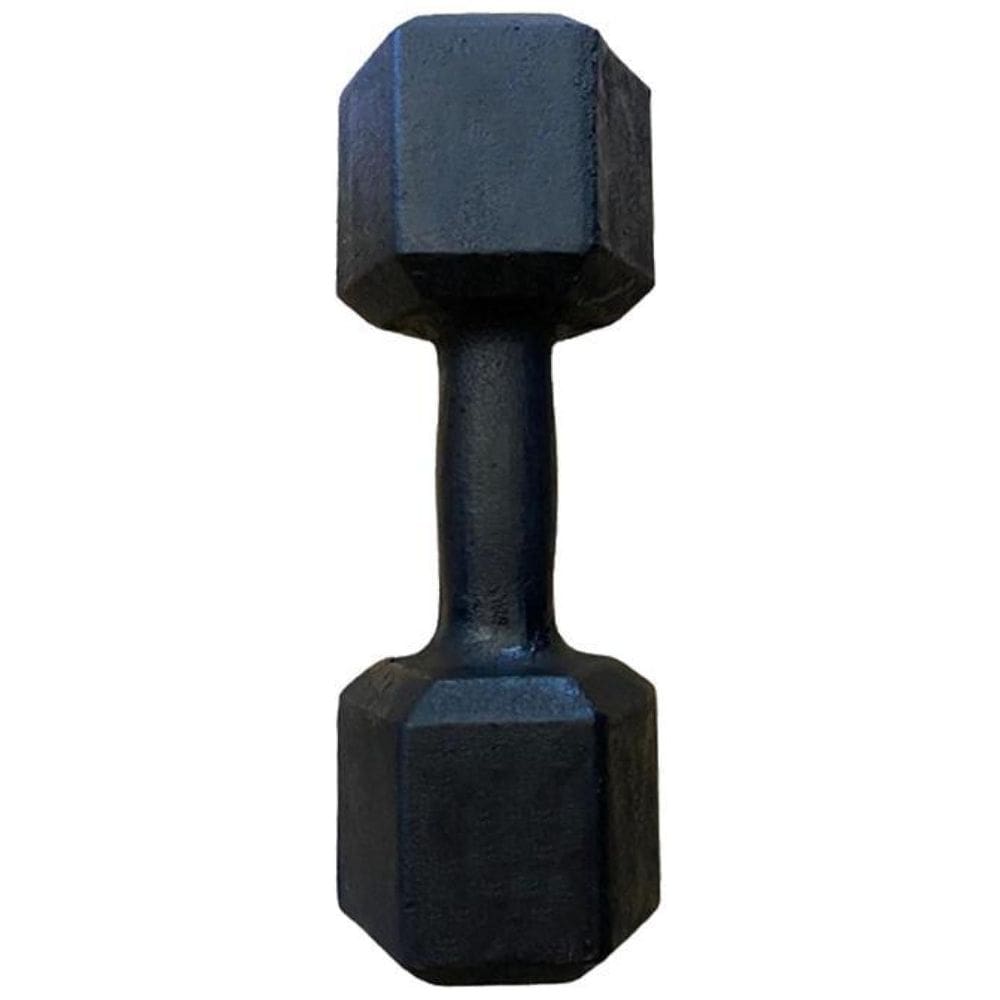 Halter Sextavado Pintado 8Kg Academia Treino Musculação