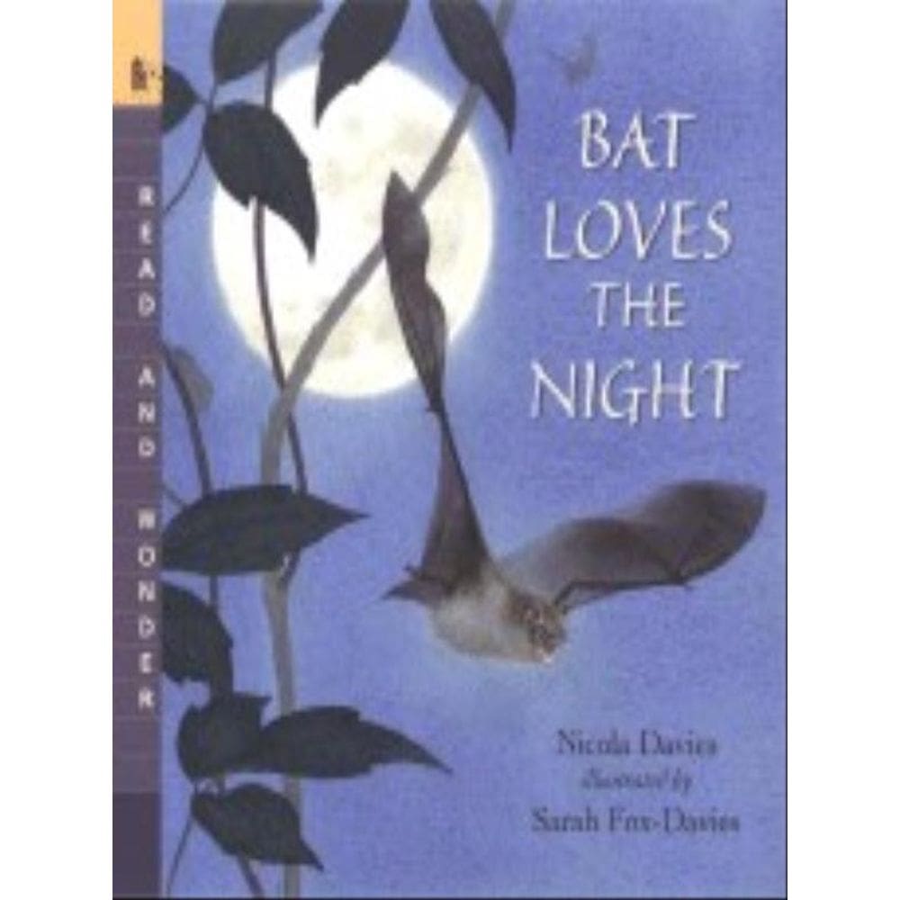 Bat Loves The Night