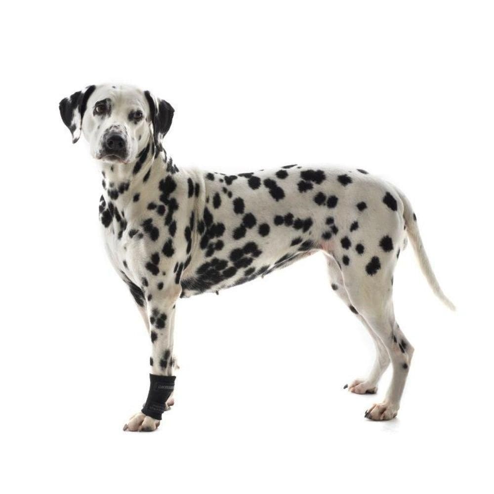 Protetor De Carpo Pet Para Cachorro Pet Kruuse Rehab Tam M