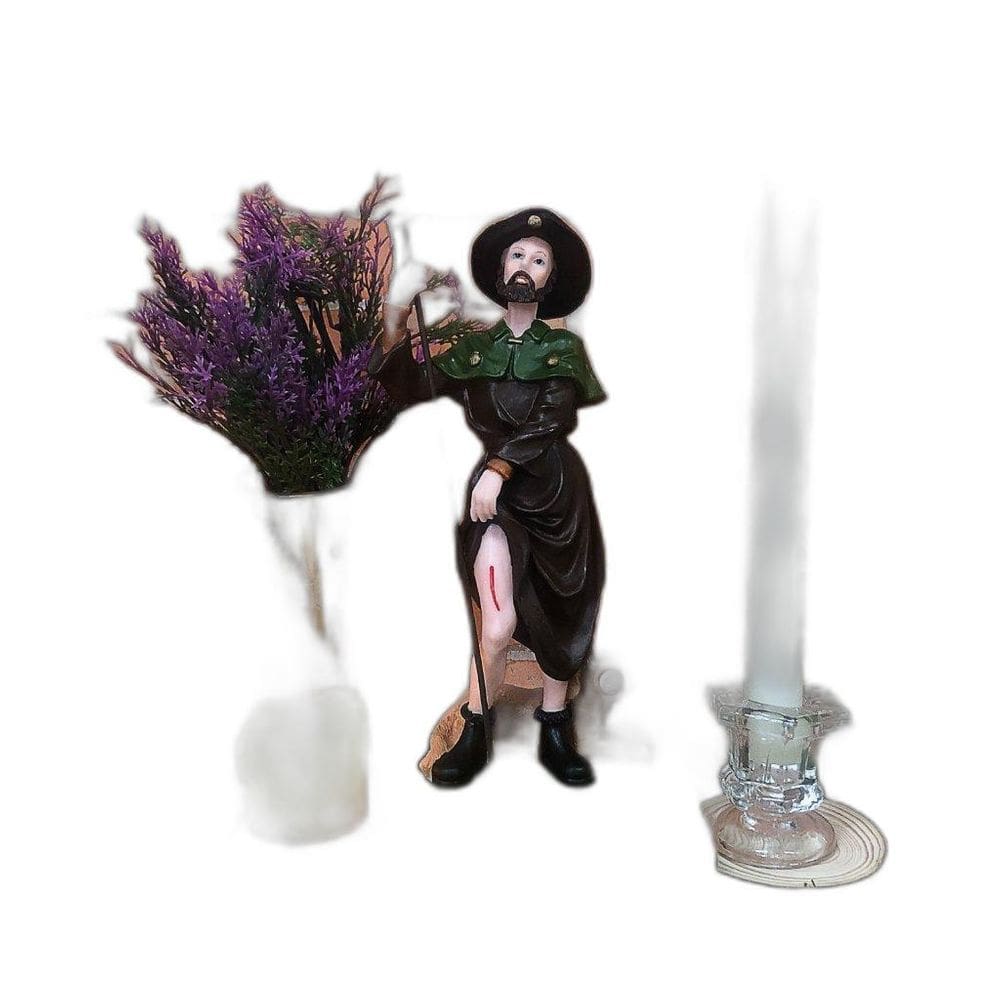 Imagem São Roque Resina 20 Cm