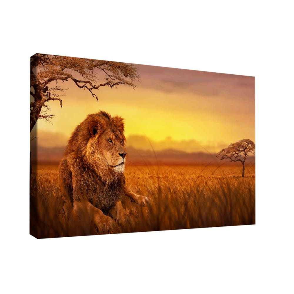 Quadro Decorativo Leão Savana