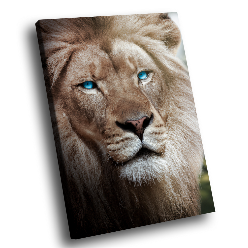 Quadro Decorativo Leão Olhos Azuis