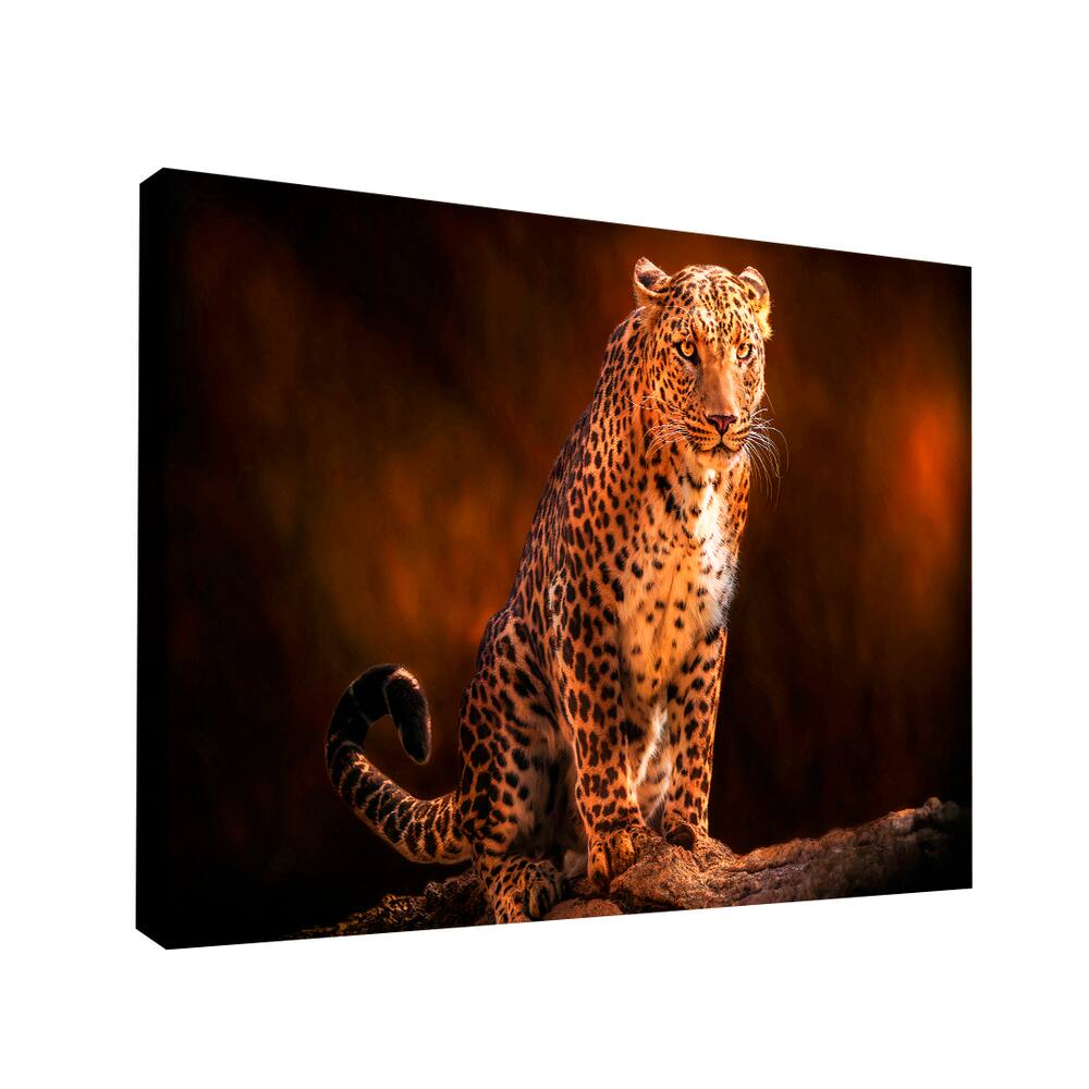 Quadro Leopardo