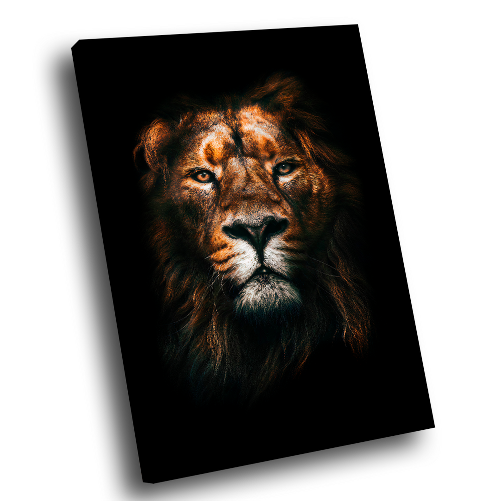 Quadro Decorativo Lion Blessed