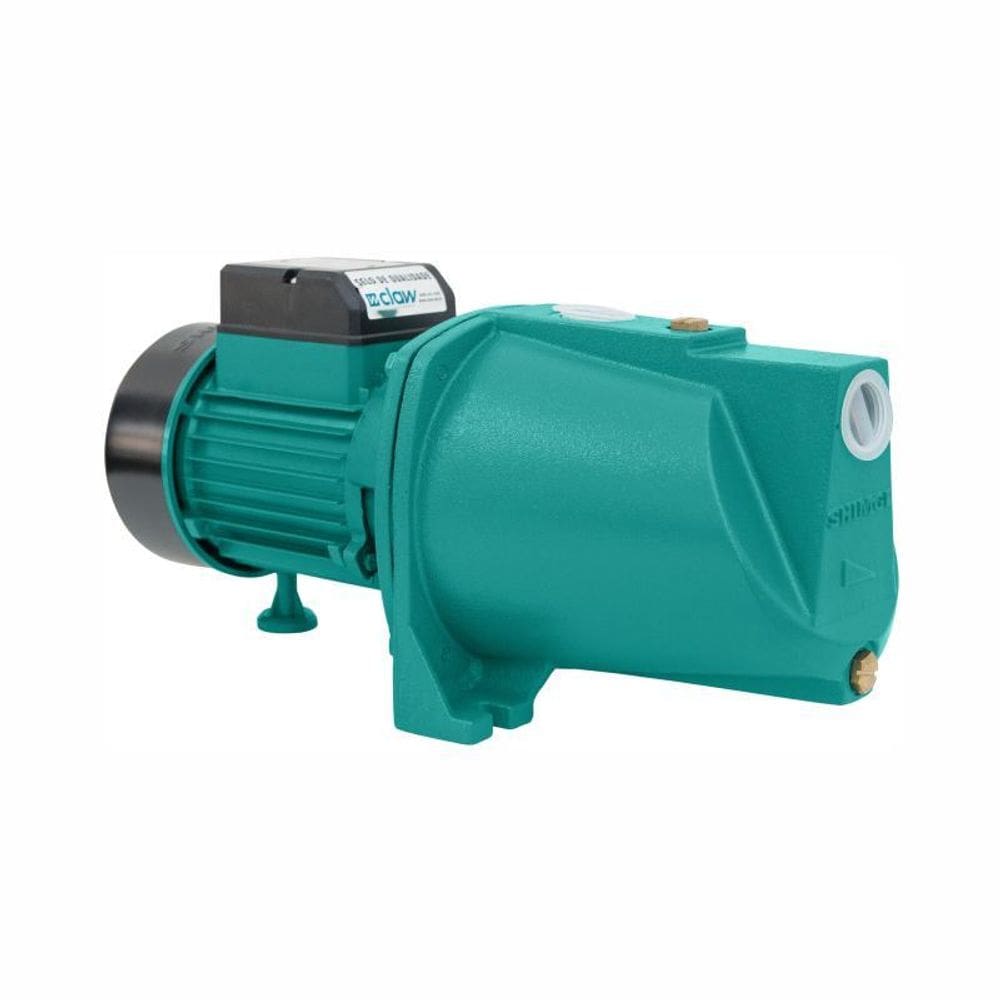 Moto Bomba Autoaspirante De Ferro Fundido Sgjw75 Claw Premiu