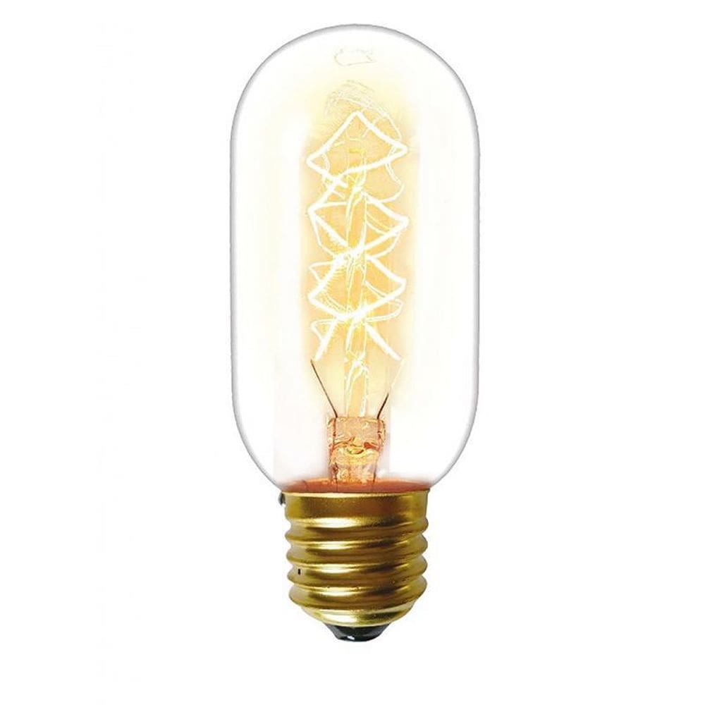 Lampada Filamento De Carbono T45 40W 127V E27