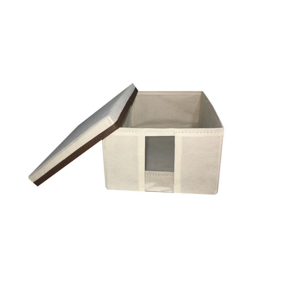 Caixa Sapateira Com Visor E Tampa Organizar 20Cm