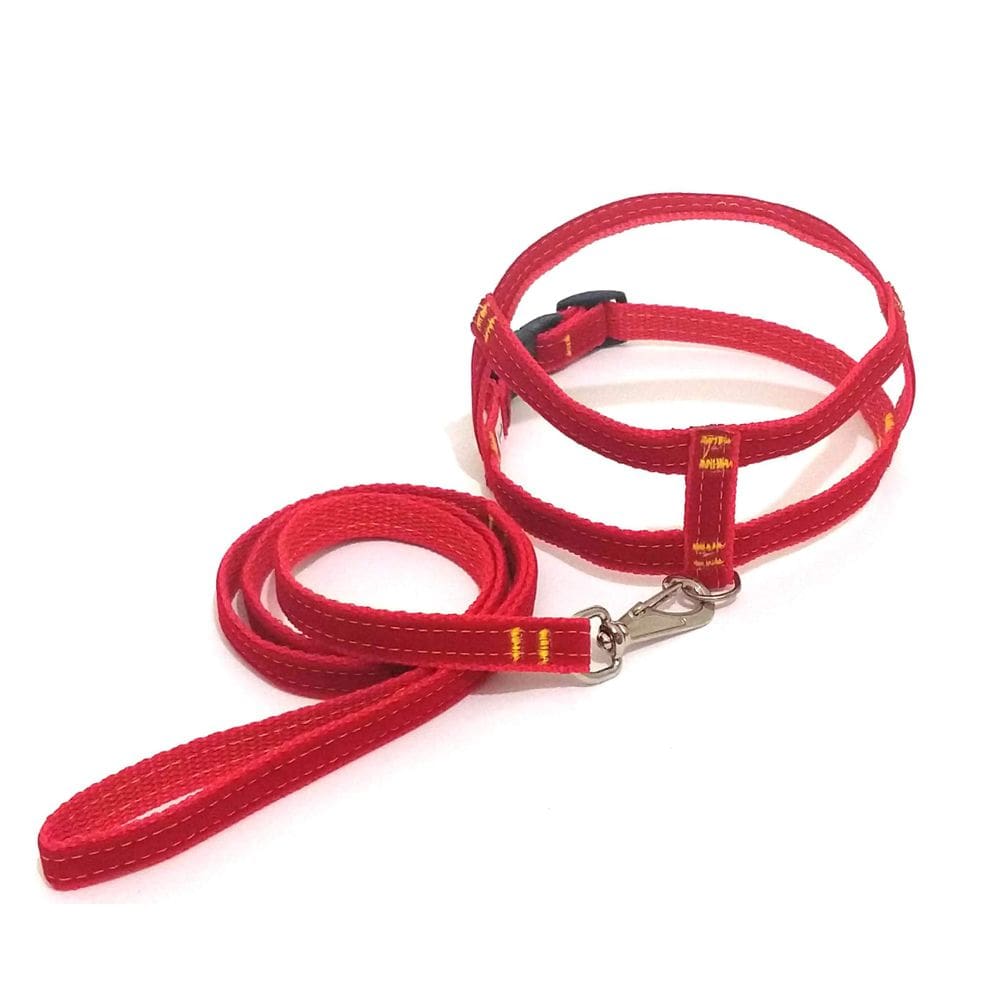 Conjunto Peitoral de Veludo liso vermelho tamanho 05