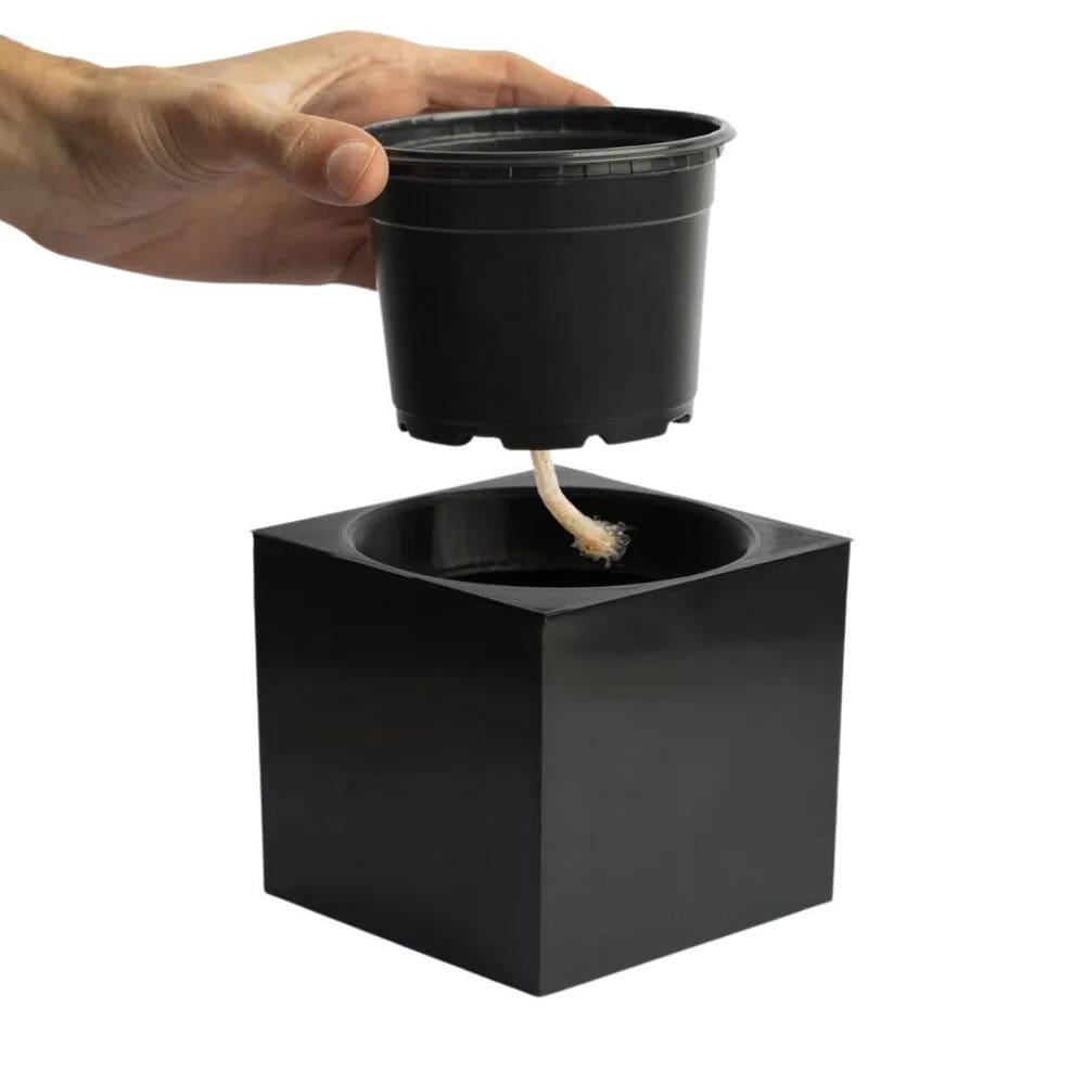 Vaso Quadrado Autoirrigavel 10Cm X 11Cm Preto