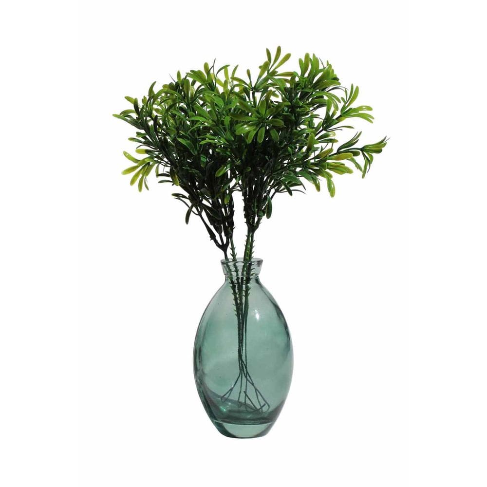 Vaso de Vidro Decorativo Mini Vasinho Vidro para Planta 12cm