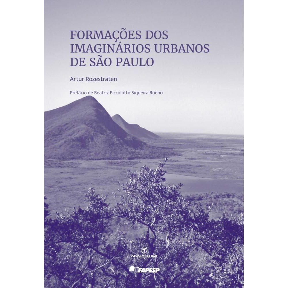 Formações dos imaginários urbanos de São Paulo