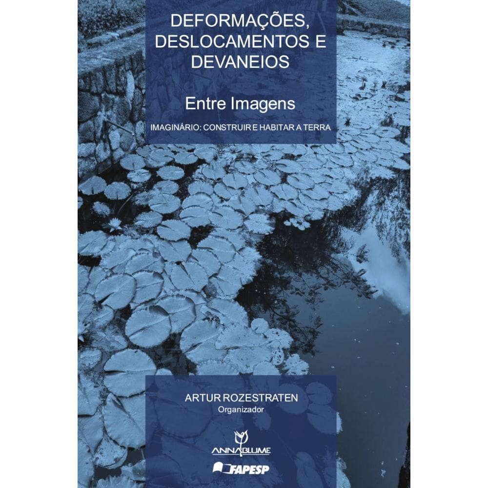 DEFORMAÇÕES, DESLOCAMENTOS E DEVANEIOS : Entre imagens (volume I): Imaginário: Construir e Habitar a Terra