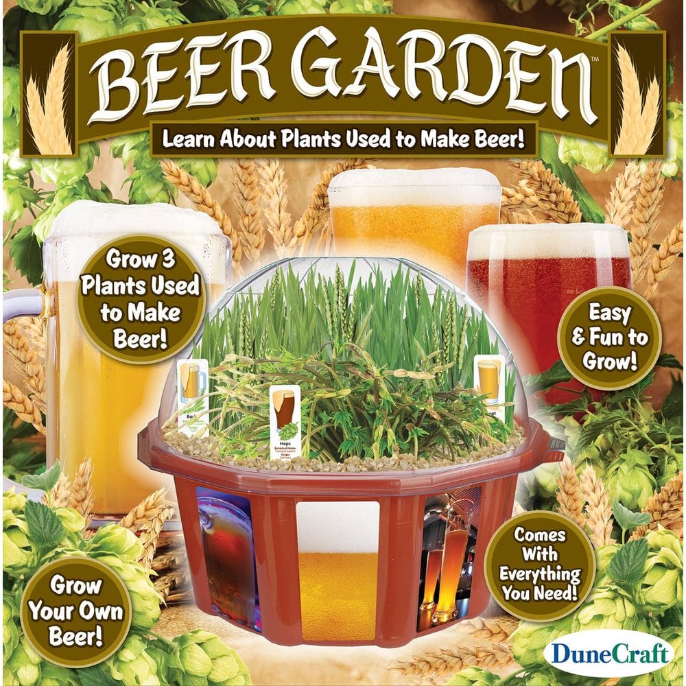 Terrarium Dunecraft Beer Garden com cúpula com trigo, cevada e lúpulo