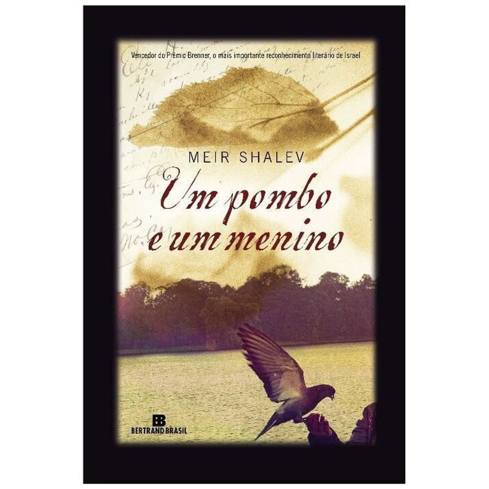 Um pombo e um menino