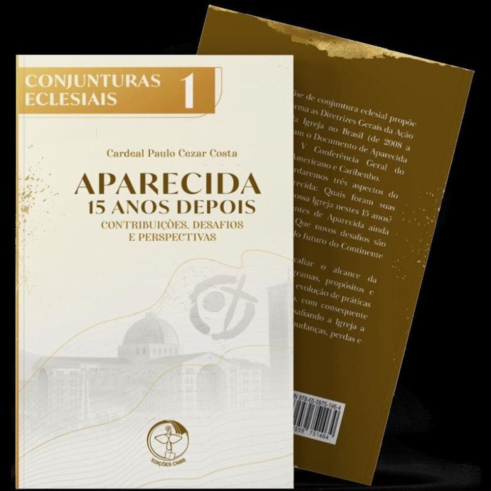 Aparecida 15 Anos Depois: Contribuições, Desafios E Perspectivas