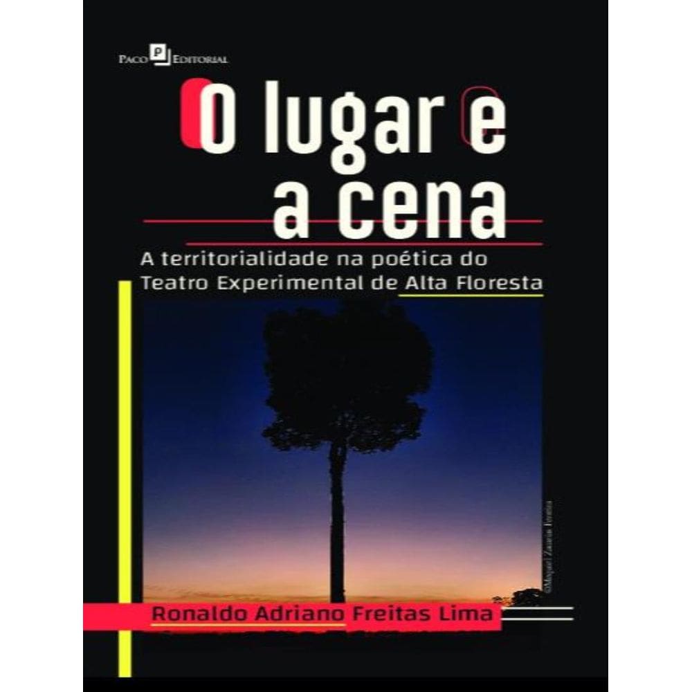 Lugar E A Cena - A Territorialidade Na Poetica Do Teatro Experimental De Alta Floresta,O
