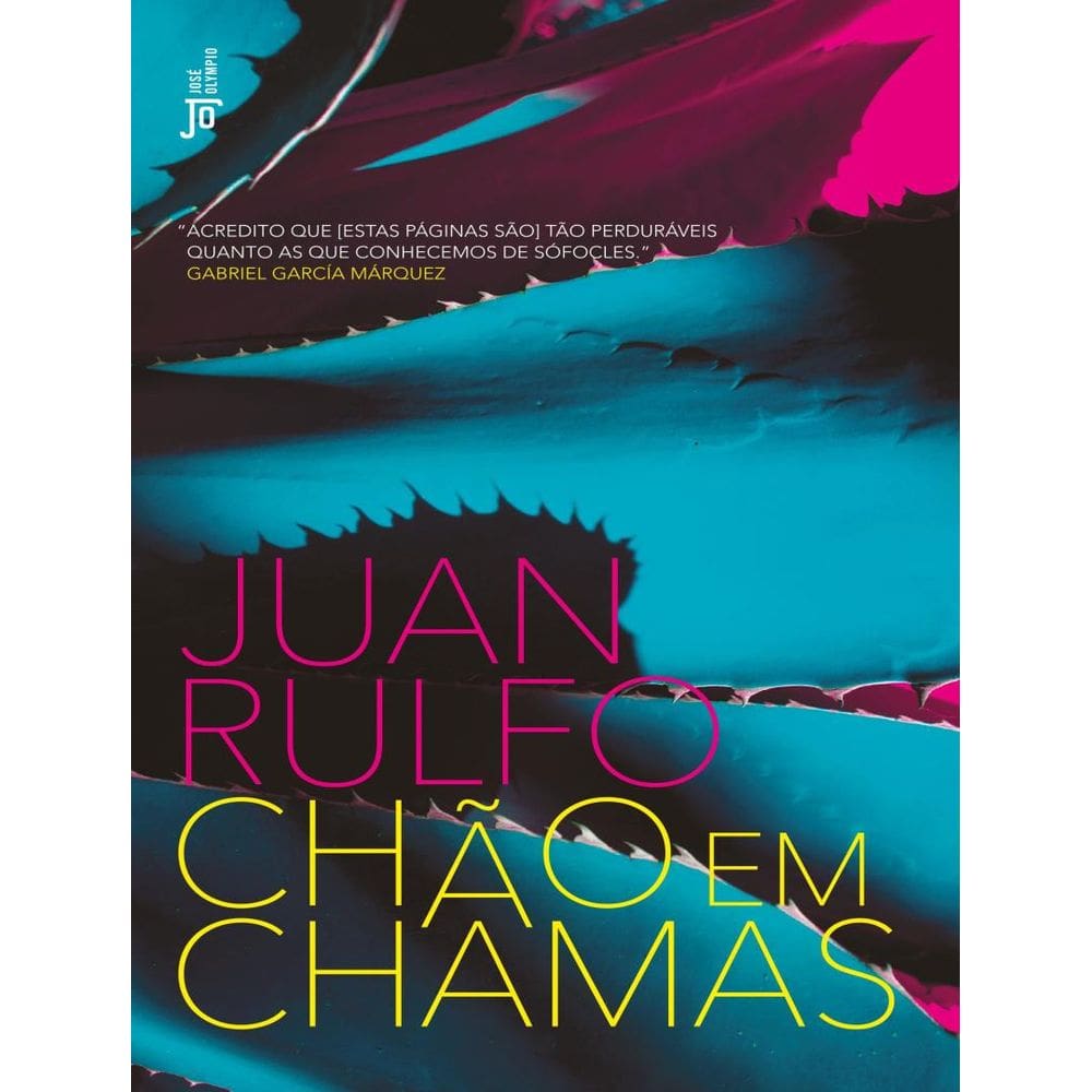 Chao Em Chamas
