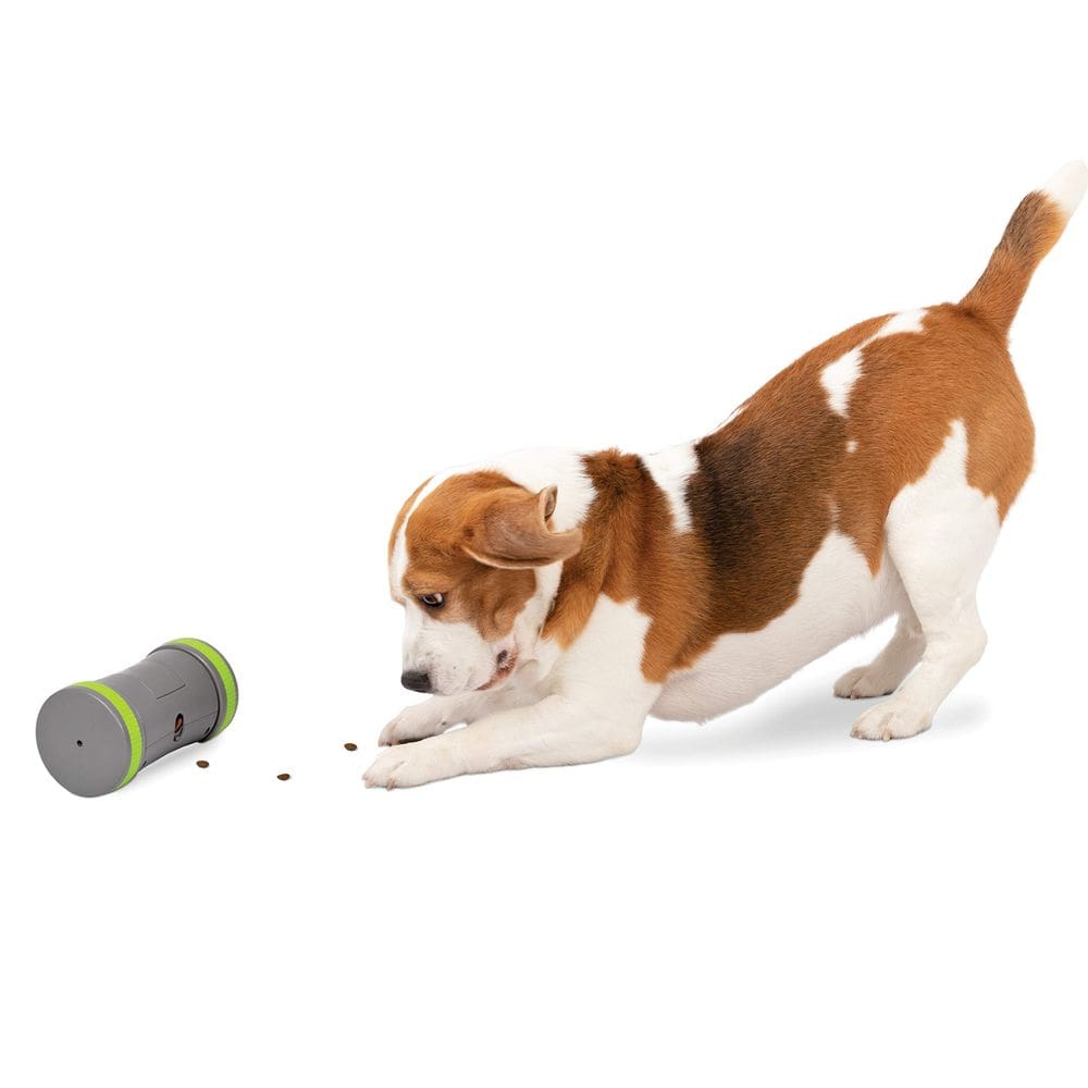 Brinquedo interativo para cães PetSafe Kibble Chase Slow Feeder