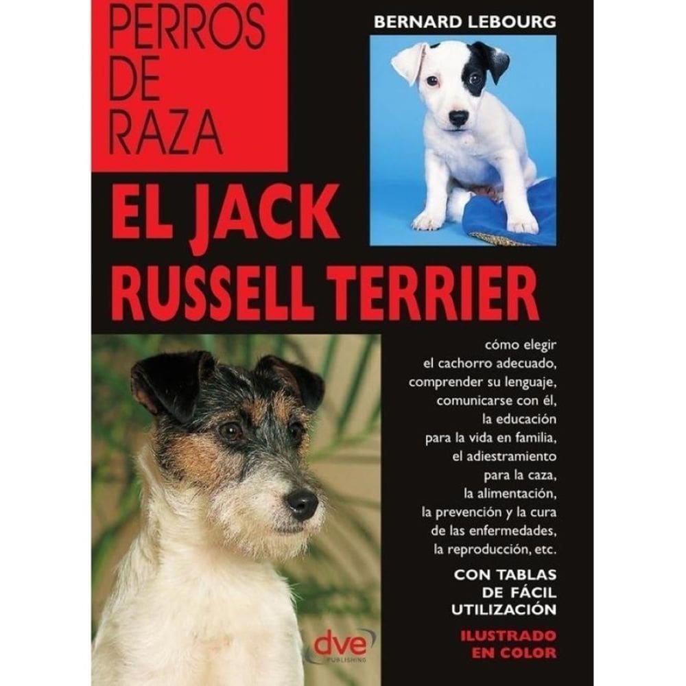 El jack russell terrier - Espanhol