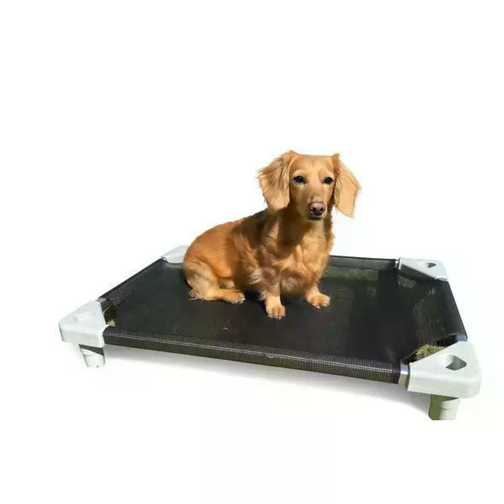 Caminha Elevada E Empilhável Para Cães Petconfort P M G - M