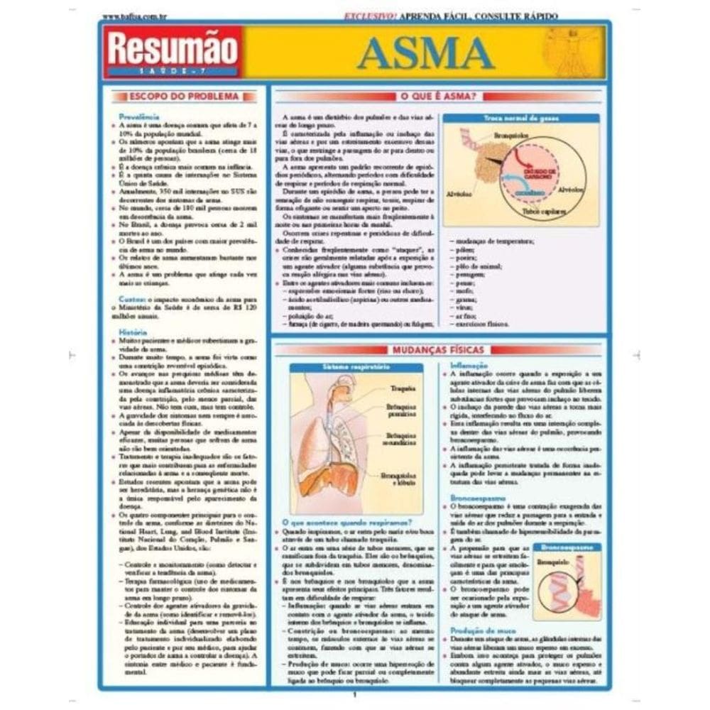 Asma - 01Ed/08