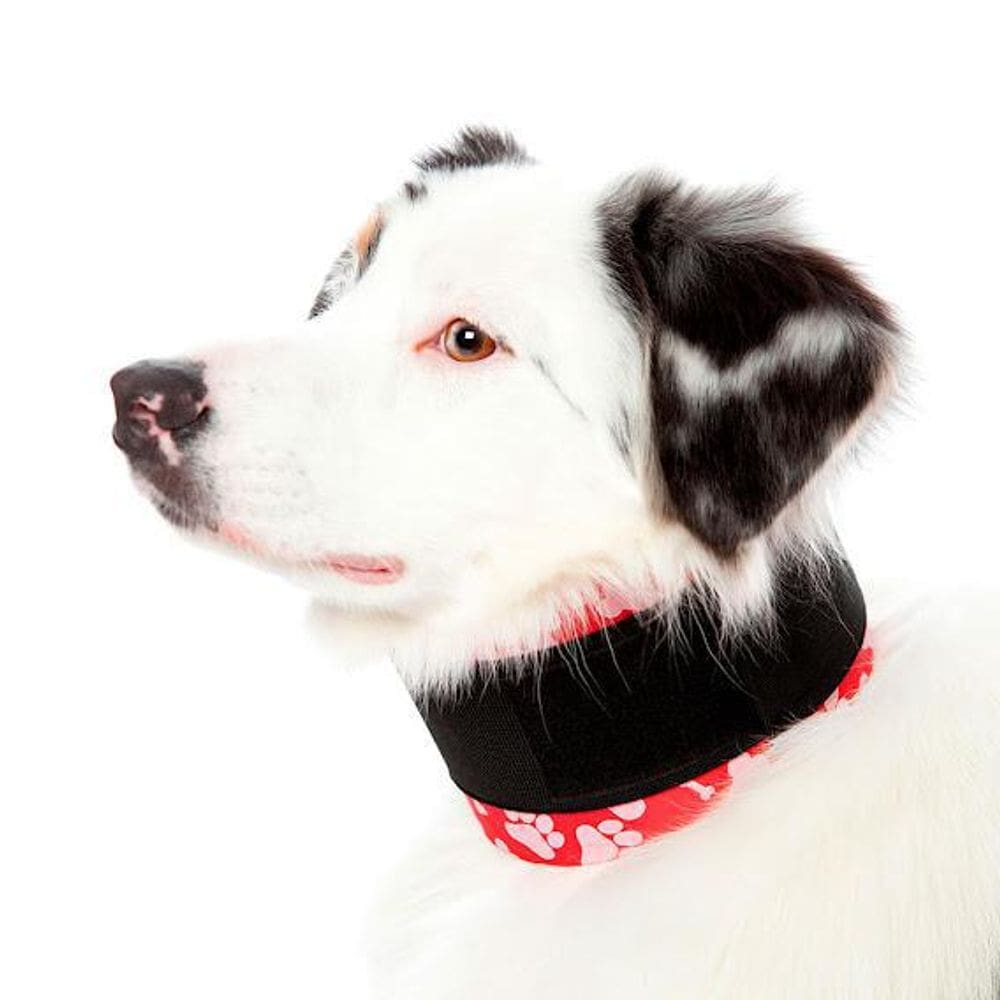 Colar Cervical Pet Med N° 8
