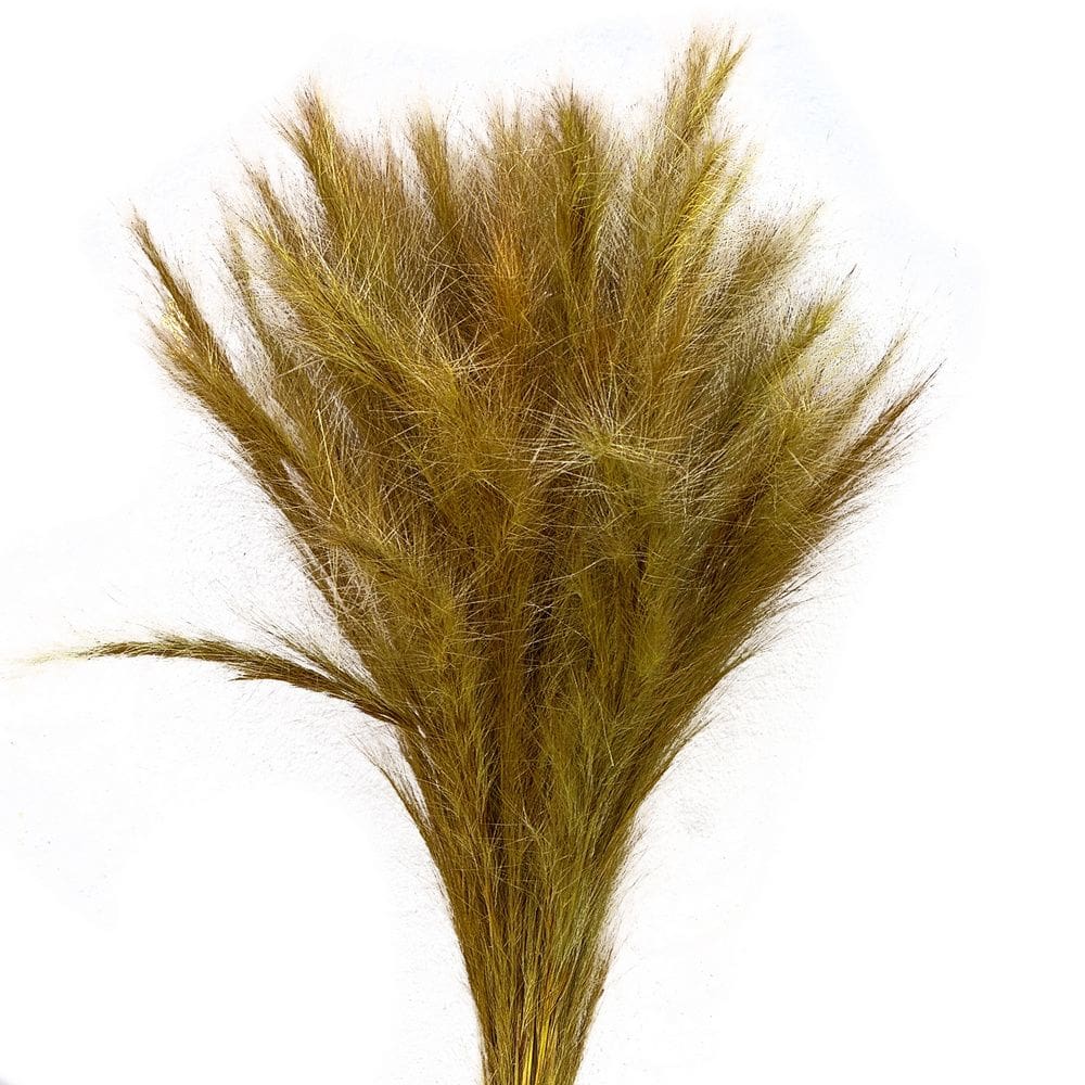 Capim Rabo de Raposa - Sempre vivas - Natural e Desidratado