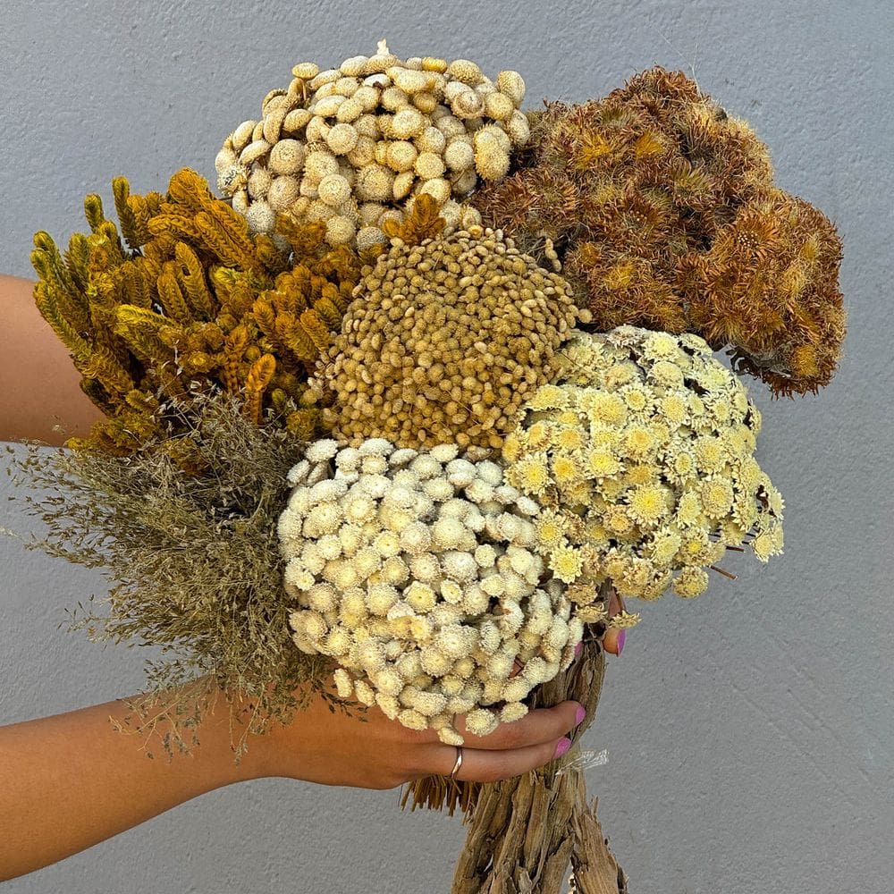 Flores Sempre Vivas - Buquê MIX - Natural e Desidratado