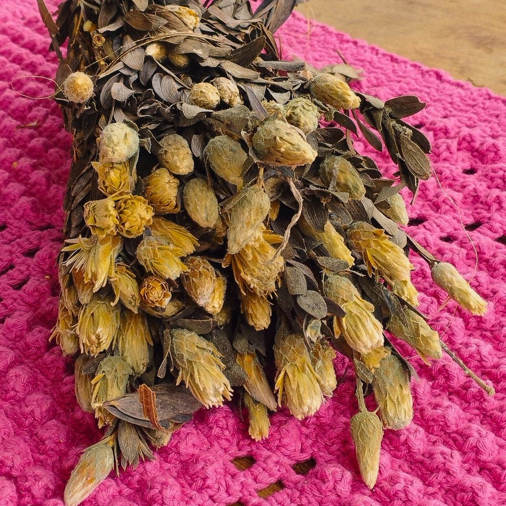 Flor Marapoamba - Sempre vivas - Natural e Desidratado