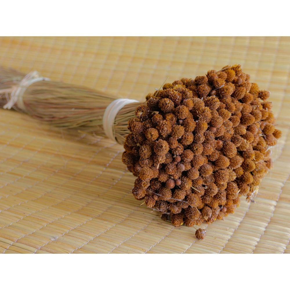 Botão Pimentinha - Sempre vivas - Natural e Desidratado