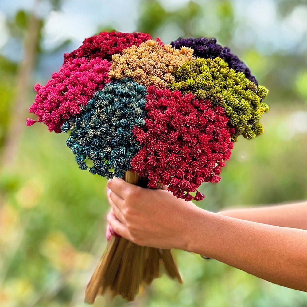 Botão Espeta Nariz -  Sempre Vivas - Coloridas