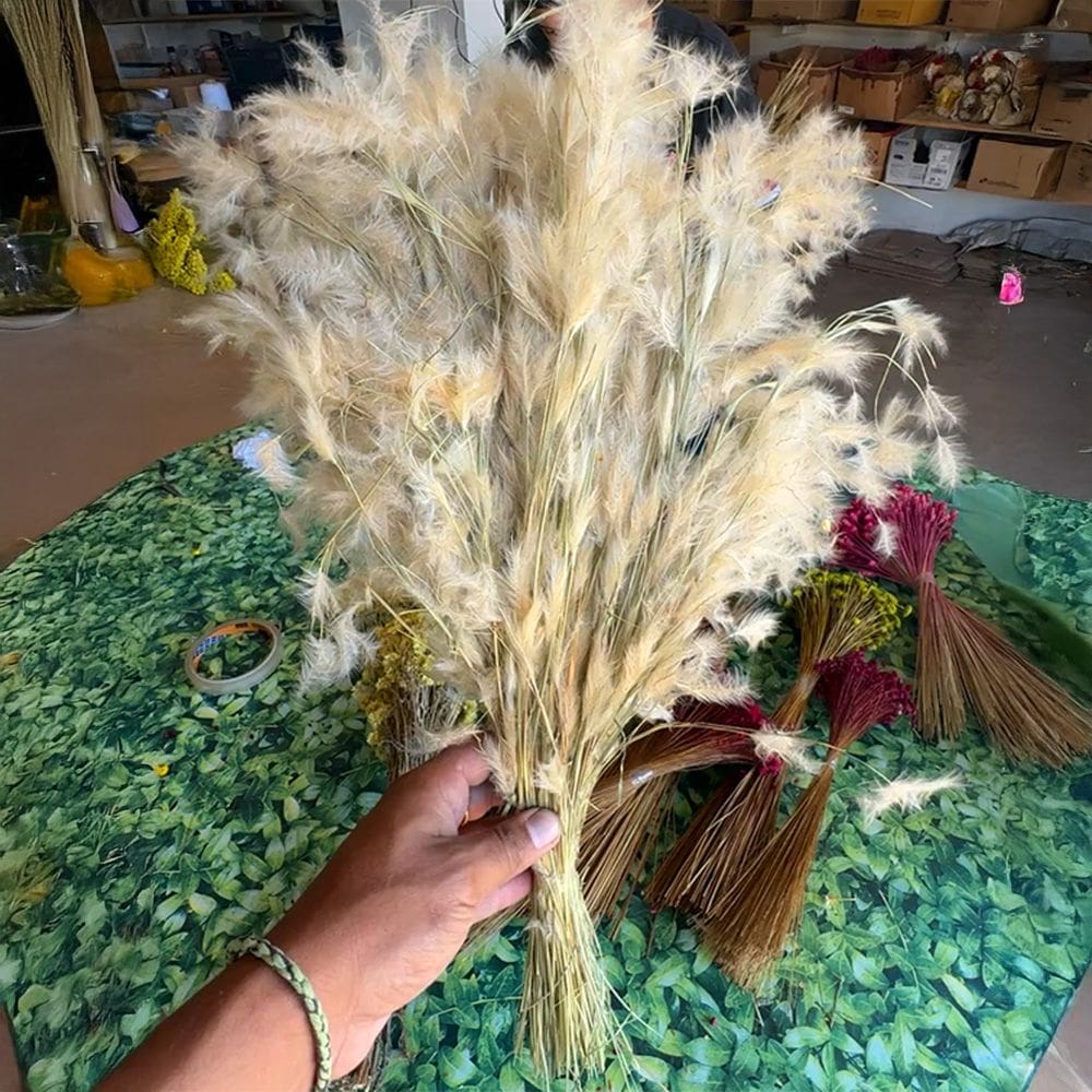 Capim Pluminha - Sempre vivas - Natural e Desidratado