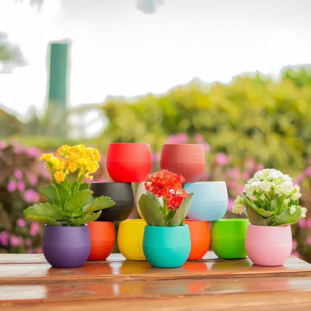 Vaso Baby Ball Vermelho - ALL GARDEN