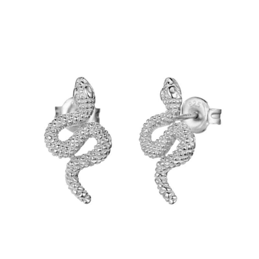 Brinco Par Cobra Prateado Brilho D3800