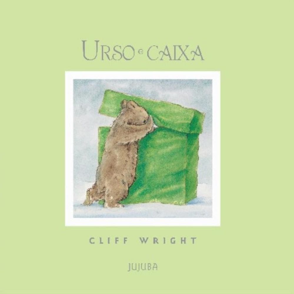 Urso E Caixa