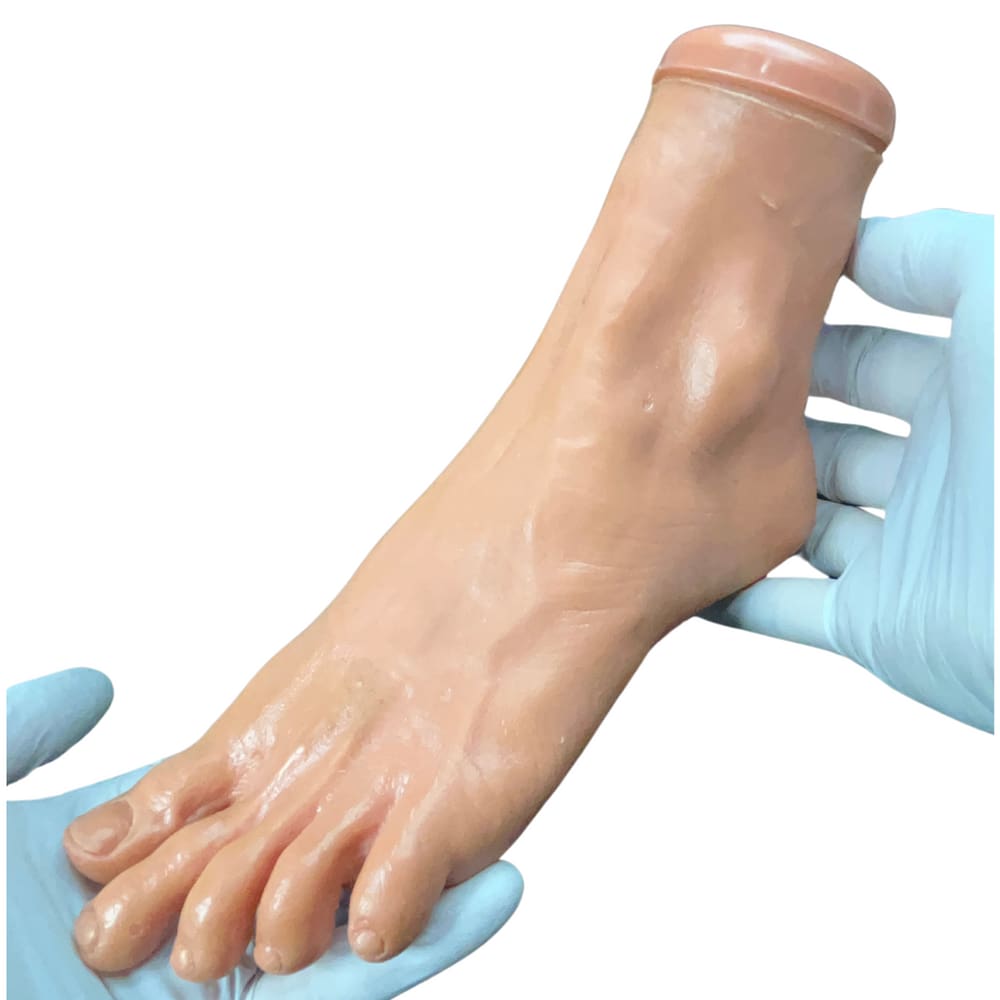 Modelo de Pé Anatômico em Vinil - Tima