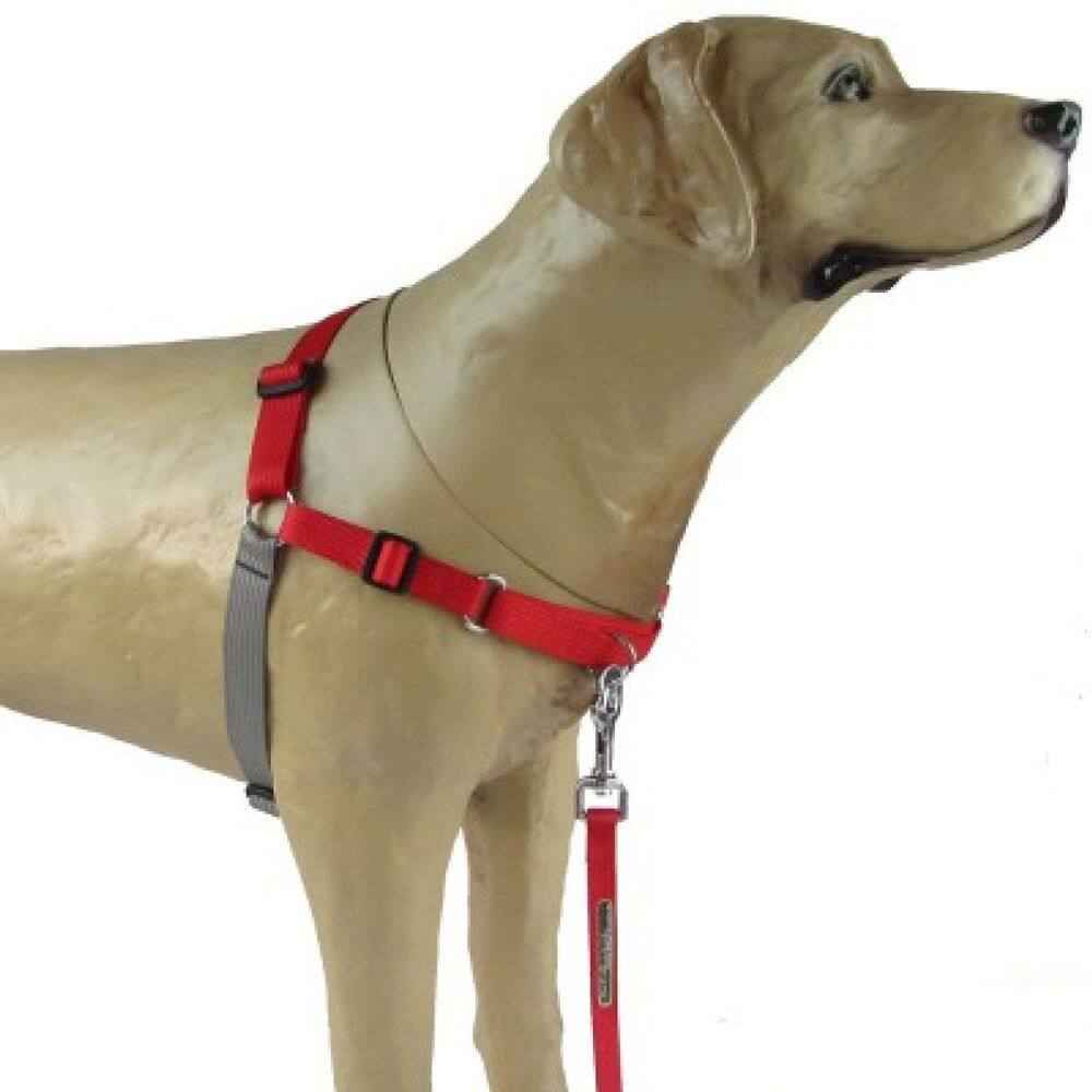Peitoral modelo Easy Walk Anti Puxão K9 Spirit VermTam G