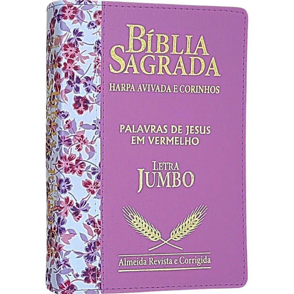 10X Bíblia Sagrada Letra Jumbo Palavras De Jesus Em Vermelho