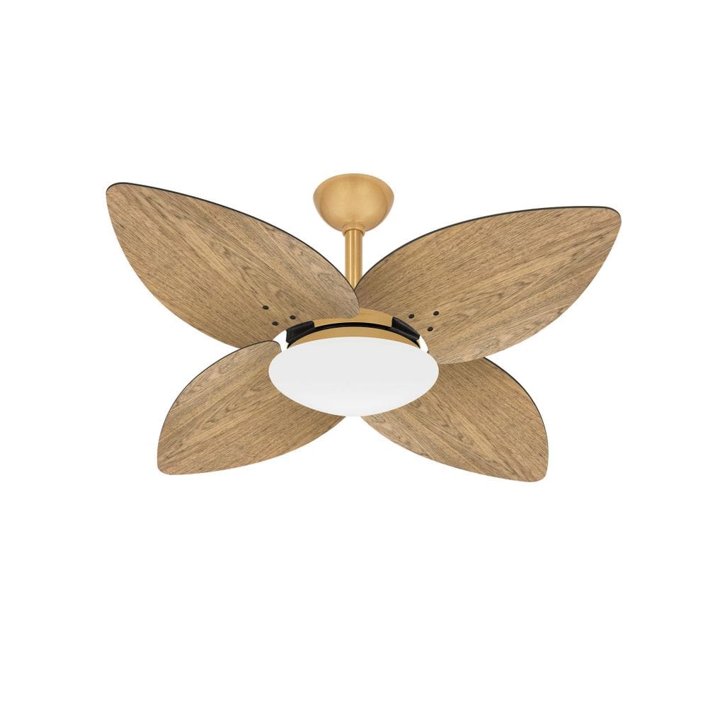 Ventilador Teto Dourado Winds 4 Pás Freijó Turbo Ventax 220V