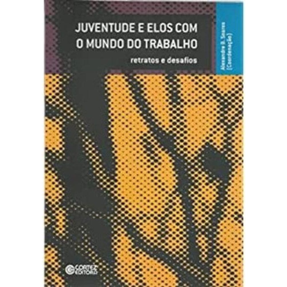Livro Juventude E Elos Com O Mundo Do Trabalho