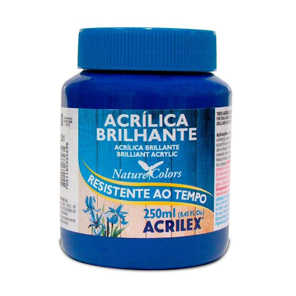 Tinta acrílica brilhante Azul Turquesa 250ml 501 Acrilex