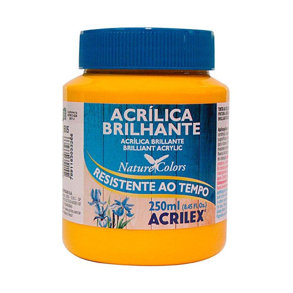 Tinta acrílica brilhante Amarelo Ouro 250ml 505 Acrilex