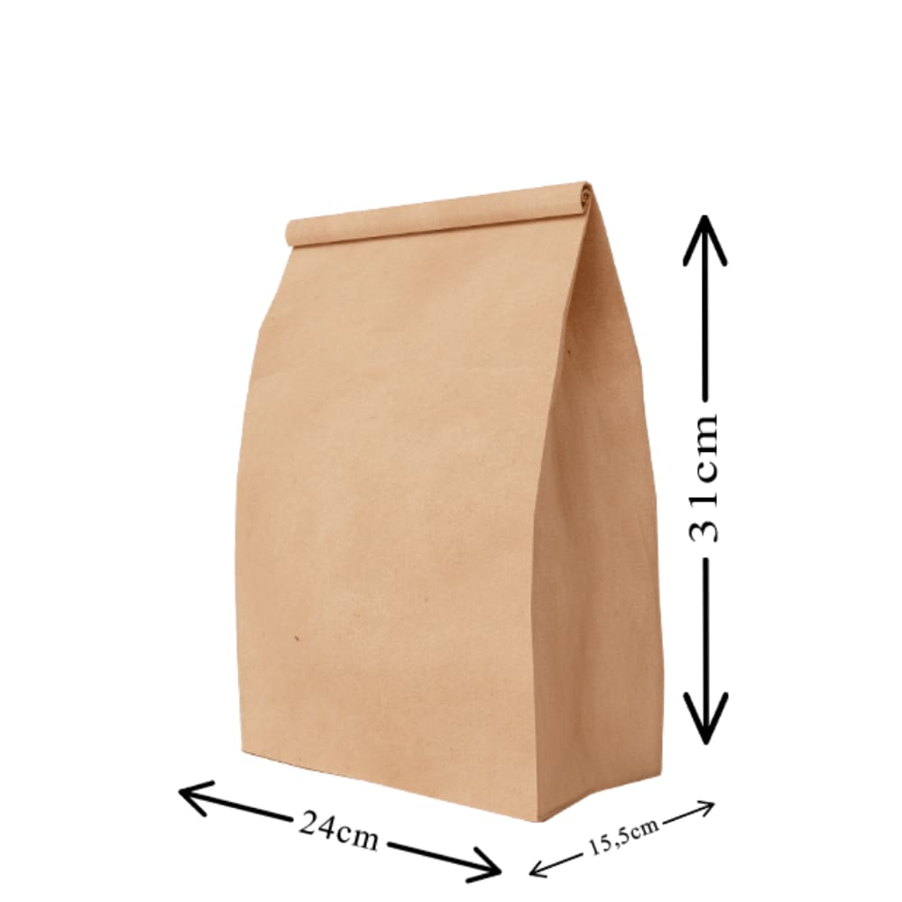 Saco Kraft G 24x15,5x31cm c/50un