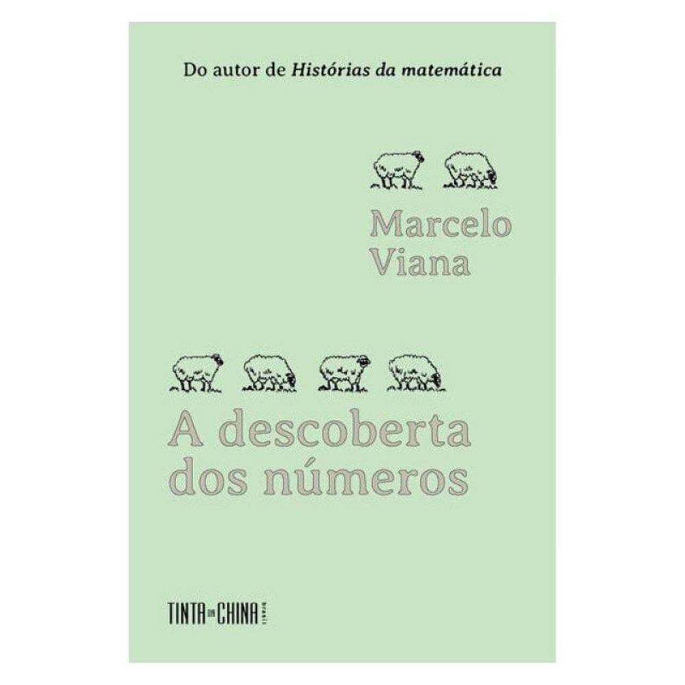 A Descoberta Dos Números